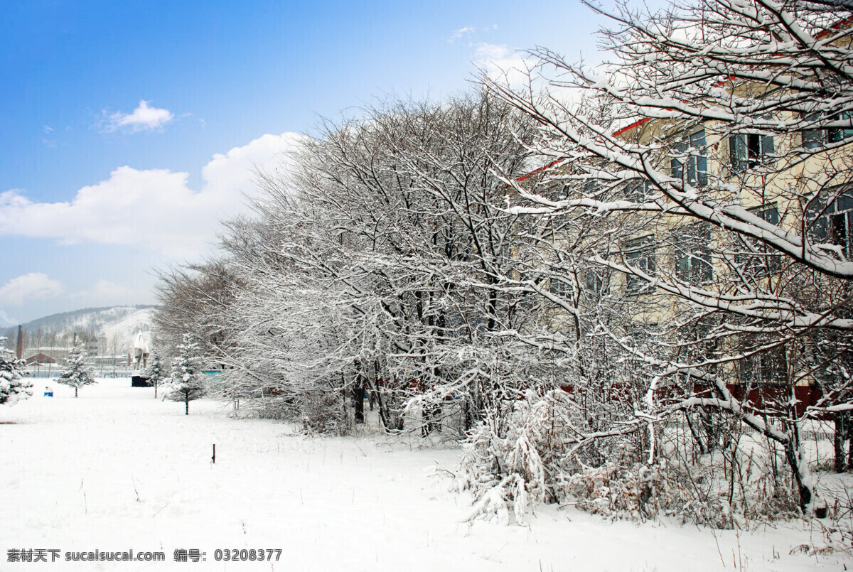 大雪 冬天 建筑摄影 建筑园林 教学楼 教育 蓝天 初冬 校园 风景图片 校园风景 根河市 中学 雪地 树木 树林 psd源文件