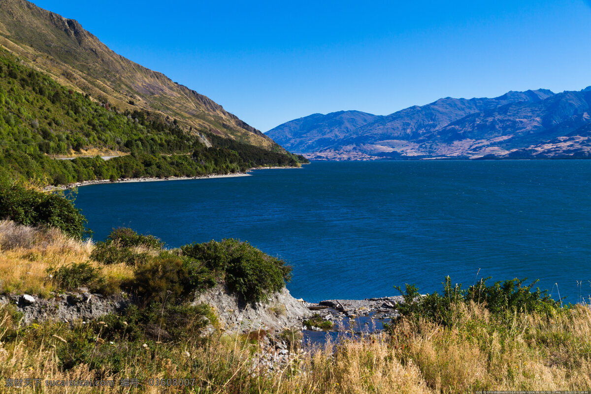 新西兰 瓦纳卡湖 南岛 鹅卵石滩 美丽湖泊 风景奇美 清澈湖水 自然景观 明媚风光 树木 雄伟山脉 旅游摄影 国外旅游
