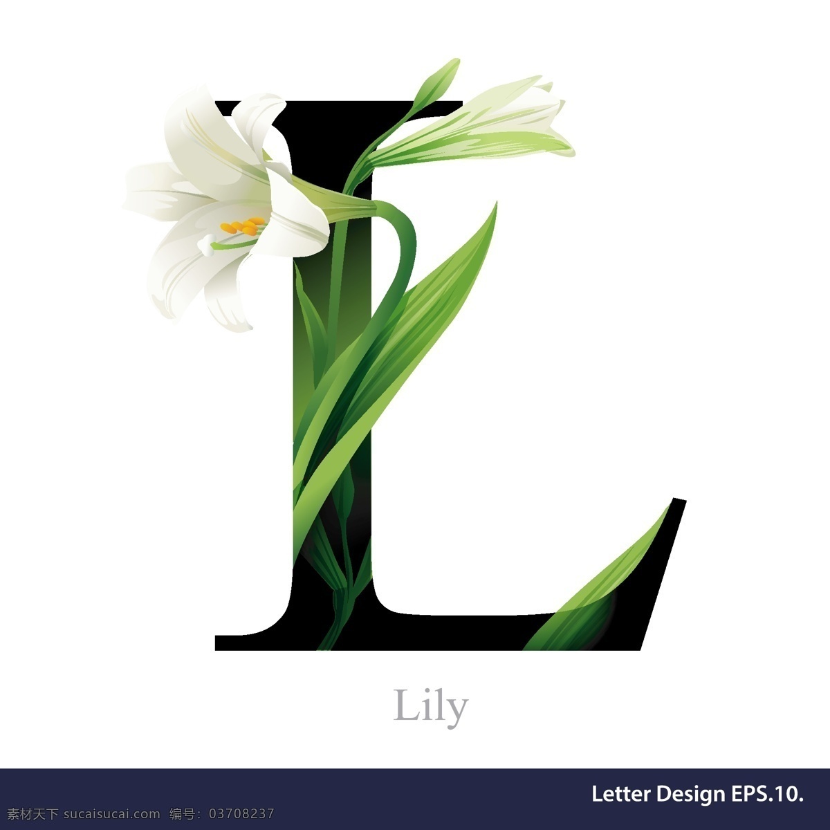 热带 花卉 英文 字母 字体 百合 字母l 矢量 源文件