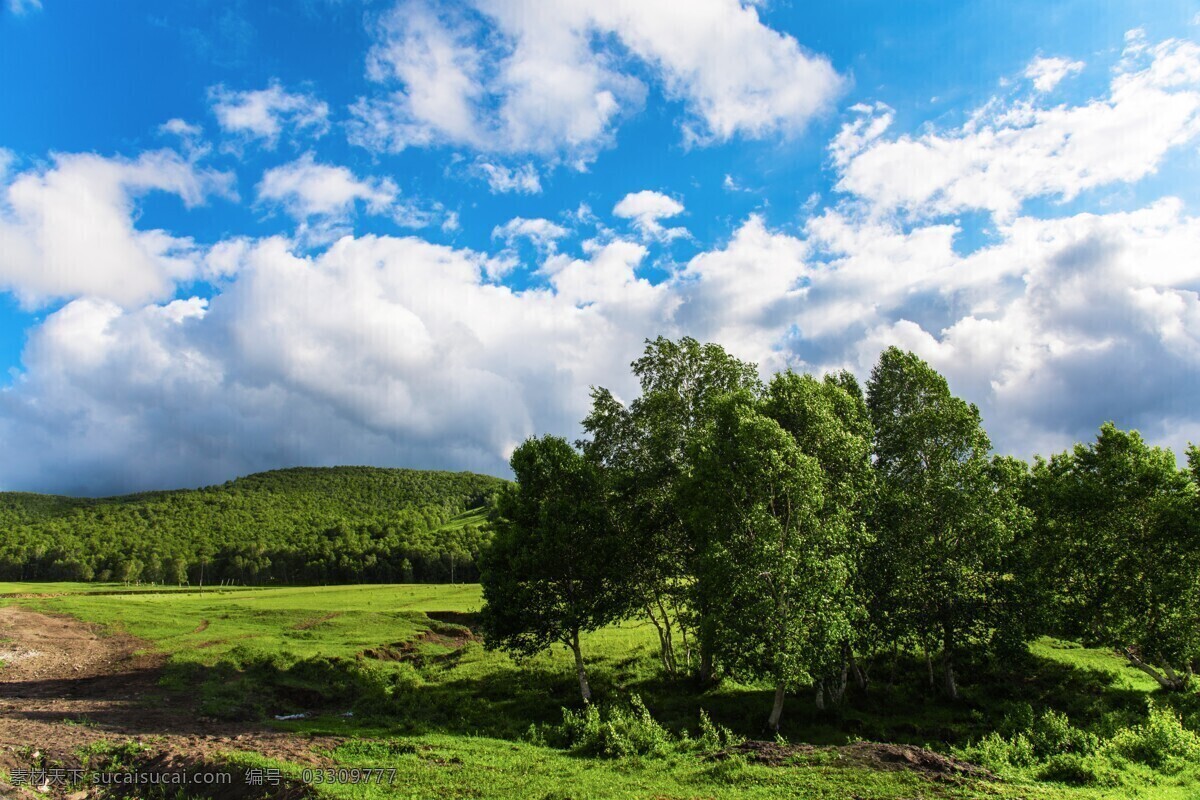 森林风景图片 自然景观 森林风景 行道树 行道树风景 自然风景 唯美风景 风景 风景图片 风景壁纸 大自然风景 自然风光 大自然风光 唯美图片 唯美壁纸 创意图片 植物 植物图片 绿色植物 花草树木 电脑壁纸 美景 美景图片 美景壁纸 旅游风景 森林 森林景观 森林植物