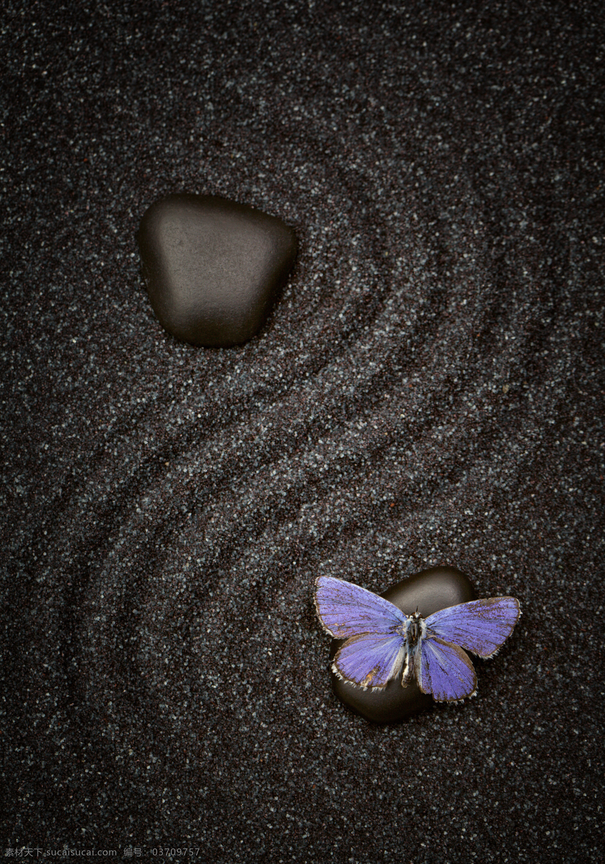 紫色 蝴蝶 鹅卵石 石头 石块 能量石 细砂 沙地背景 其他类别 生活百科