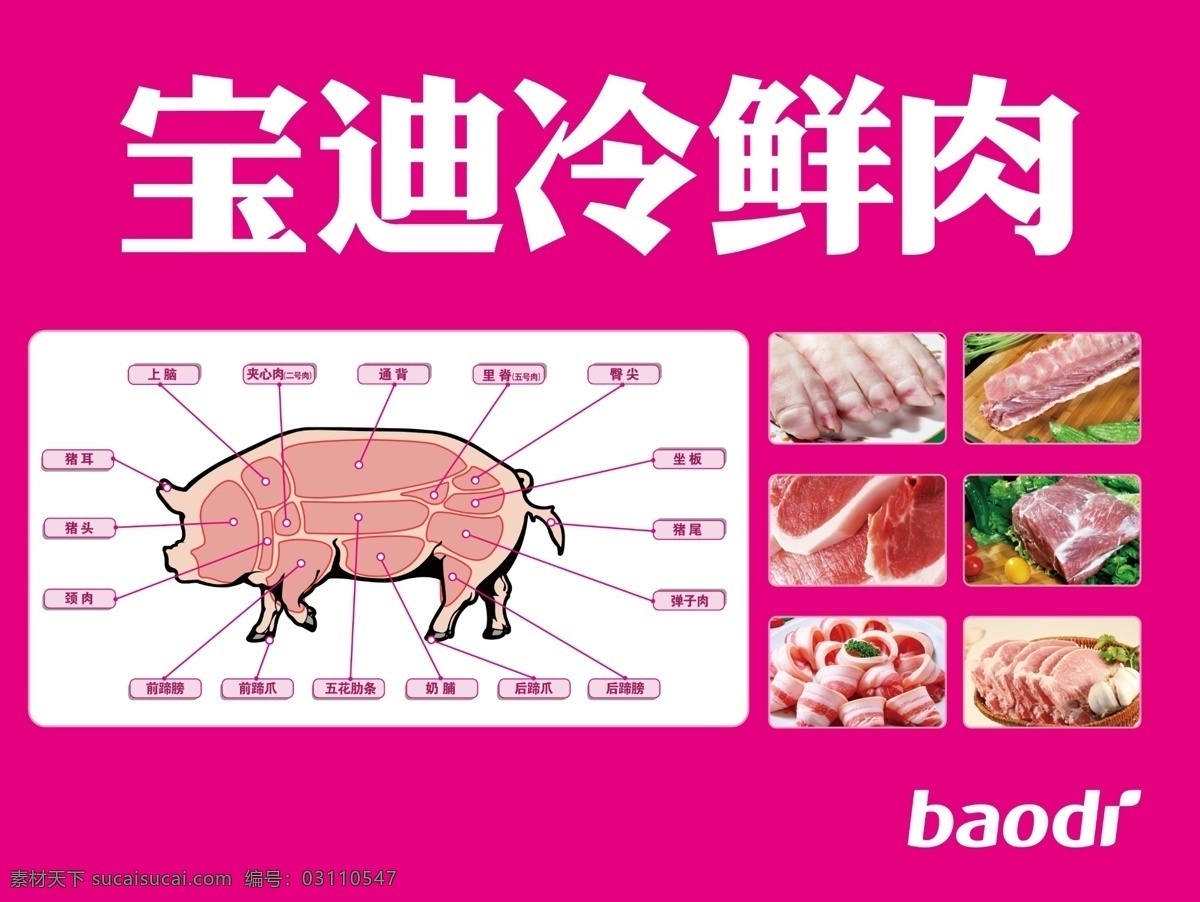 宝迪冷鲜肉 宝迪 宝迪logo 冷鲜肉 猪肉 排骨 猪部位名 分割猪肉