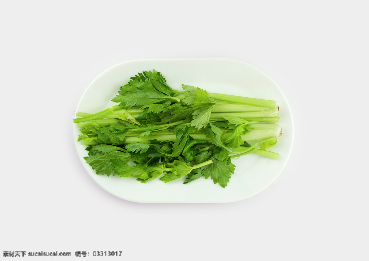 绿色 芹菜叶 蔬菜 净菜 火锅 素菜 新鲜食品 青菜 植物 有机蔬菜 菜叶 餐饮美食 食物原料