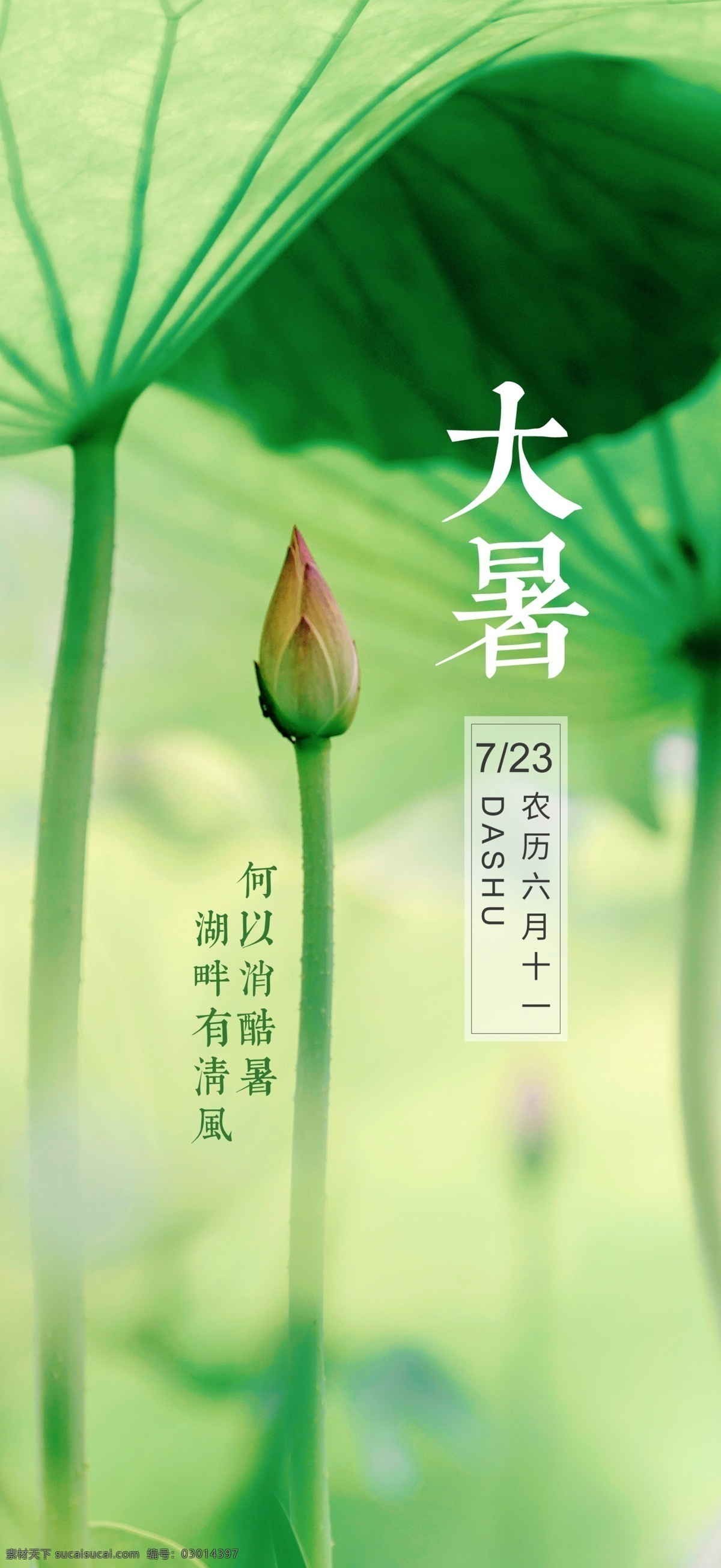 大暑素材 大暑海报 大暑西瓜 荷花 鱼 夏日 夏日素材 夏天 大暑扇子 西瓜 大暑解暑 二十四节气 24节气 立秋 小雪 冬至 大雪 小寒 大寒 立春 雨水 惊蛰 春分 清明 谷雨 立夏 处暑 夏至 小暑 秋分 霜降 白露 寒露 立冬 中国风节气 24节气全套 二十四节气歌