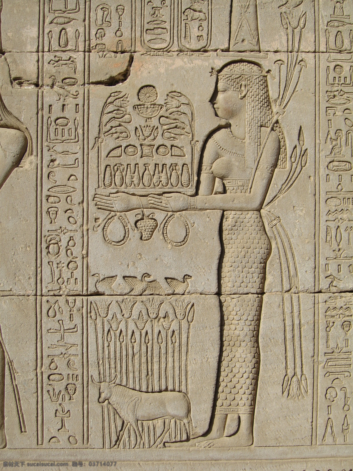 埃及壁画 壁画 埃及 埃及风景 图案 文字 古文字 古文明 埃及文化 古埃及文明 埃及文字 石刻 石雕 雕刻 罗马 古罗马 非洲 人物 人物雕刻 国外旅游 旅游摄影