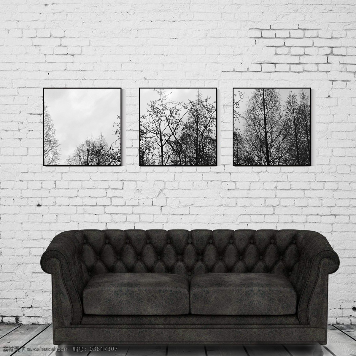 墙体 黑白 树林 树影 装饰画 沙发 背景 树投影 严肃 肃穆 装饰