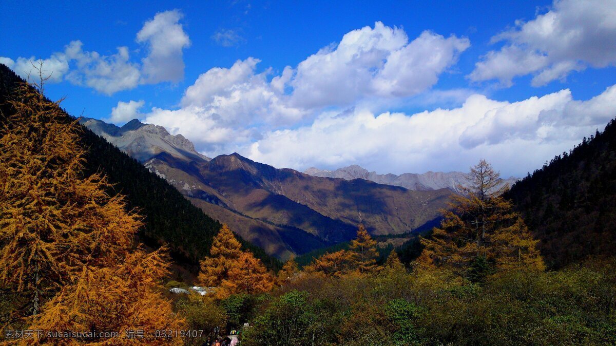 秋高气爽 冷杉 荒山 蓝天 白云 黄龙风光 风景名胜 自然景观