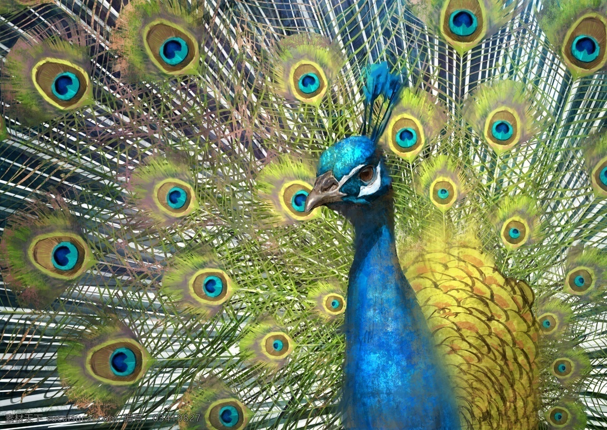 开屏的蓝孔雀 原画 cg 插画 壁纸 游戏原画 孔雀 开屏 分层 源文件