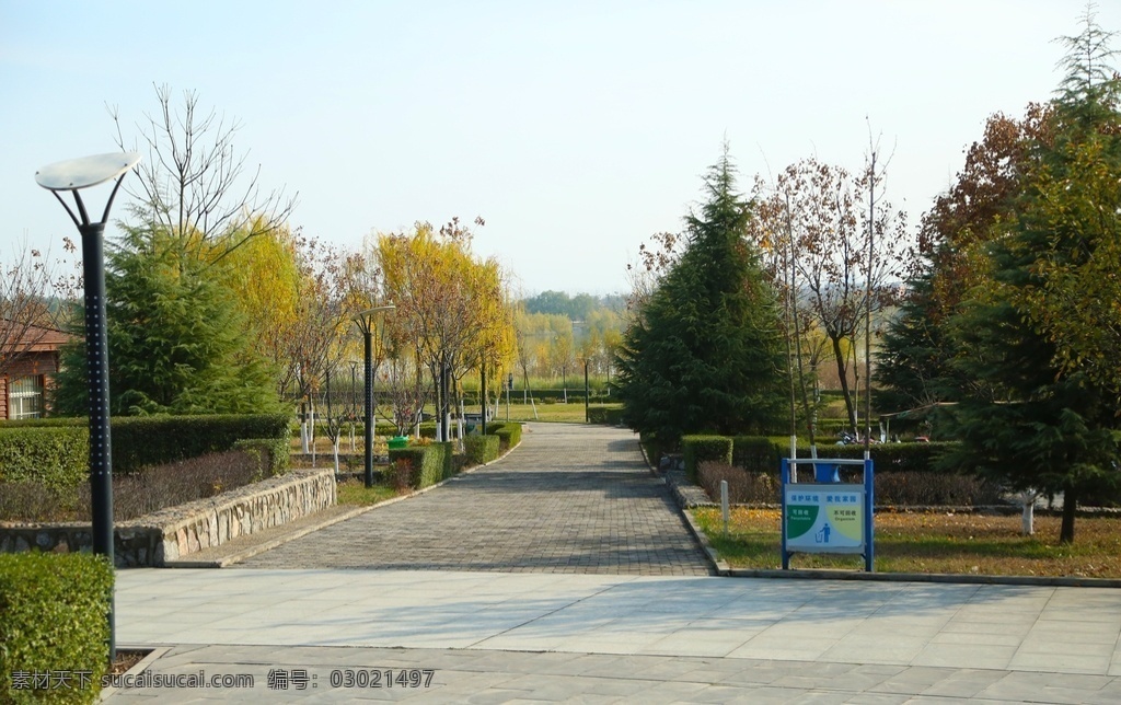 公园小道图片 金秋 秋天 绿树 公园小路 公园景观 路 秋天的公园 公园小道 摄影图库 自然景观 自然风景