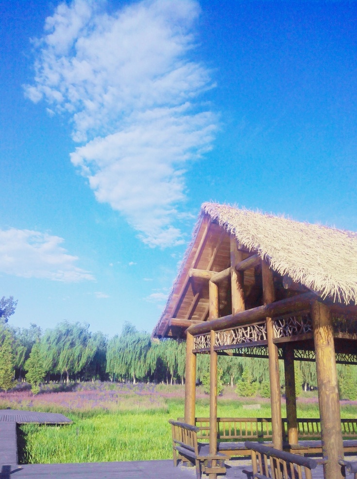 兰天 中国 北京 通州 大运河 公园 风景 风光 美景 花林 木 树 草屋 自然景观