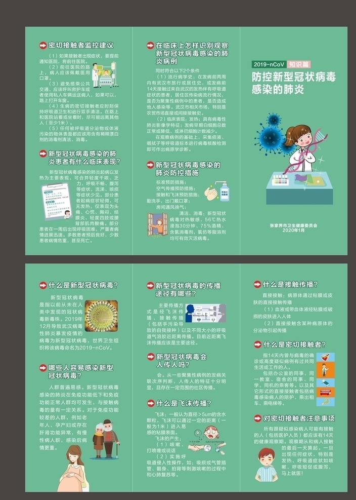新冠肺炎 知识篇 新冠病毒 防护知识 个人防护 工作防护 居家防护 防控科普宣传 板报 dm宣传单