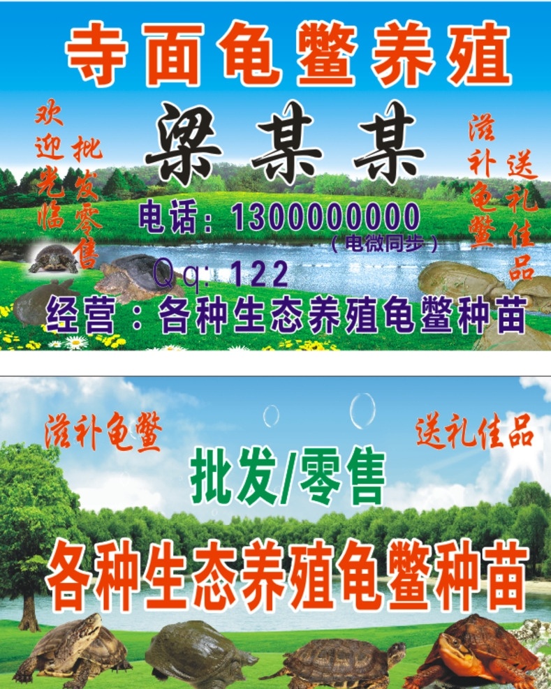 龟鳖养殖名片 龟鳖养殖 龟 鳖 鳄鱼龟 养殖 甲鱼 水鱼 巴西龟 名片 生态养殖 青山绿水 蓝天 蓝天白云 背景 蓝天背景 青山绿水背景 名片卡片