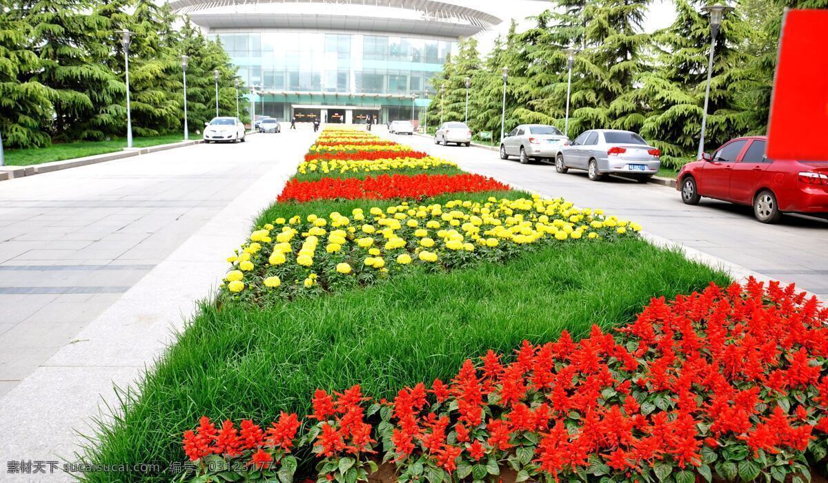 花坛色带 园林 景观 乔木 灌木 草本 鲜花 街道 花坛 色带 园林建筑 建筑园林