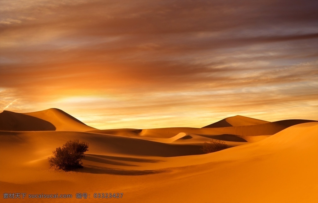 沙漠 沙丘 大漠风光 黄沙 大漠 罗布泊 新疆 大疆 丝绸之路 自然风景 山水 田园 自然景观