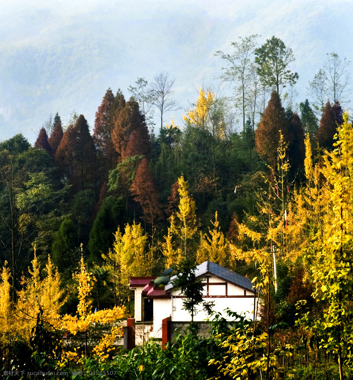 崇州 文井江 小丹巴 大坪 风景 田园 稻田 田园风景 日出 日落 天空 云朵 田野 秋天田园 乡村风光 乡村风景 自然山水 山水 山林 民居 树林 蓝天 实景照片 自然景观 山水风景