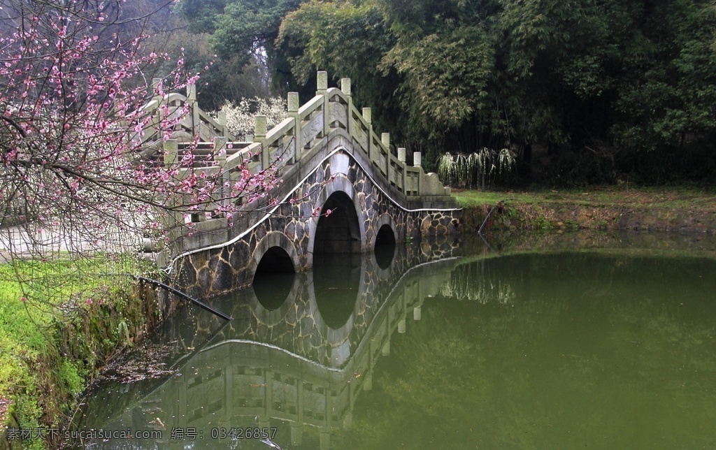 梅花 红梅 梅园 园林 梅花盛开 梅花园 公园园林 梅花树 仿古建筑 公园建筑 武汉梅园 东湖梅园 公园拱桥梁 建筑园林 园林建筑