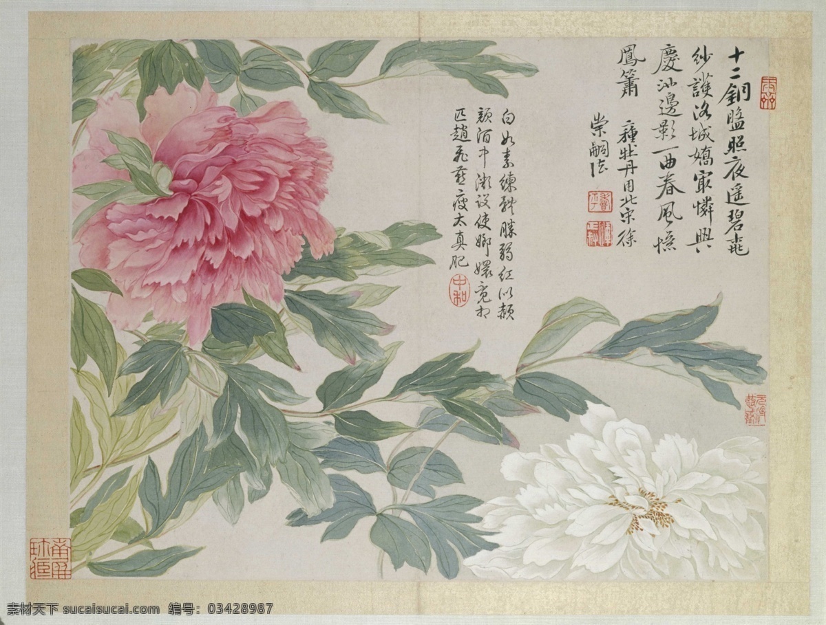 清代 恽 寿 平 花草 绘画 风景画 花卉写生 植物花朵绘画 装饰画 中国风 花草绘画 蝴蝶昆虫绘画 复古绘画 名家绘画 清代画家 恽寿平 花卉集 字画 水彩植物 花鸟册 中国画 工笔画 工笔画鸟 工笔 古代 花鸟鱼虫 文化艺术 绘画书法