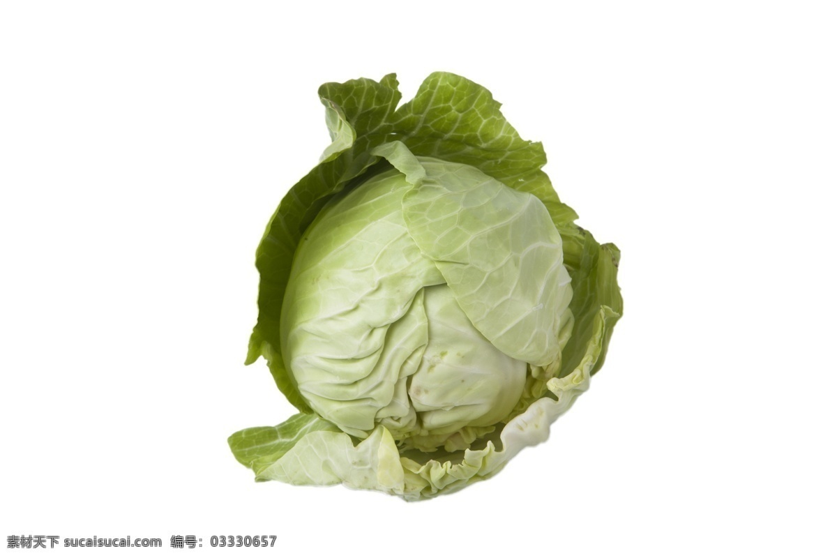 一颗大头菜 大头菜 营养 蔬菜