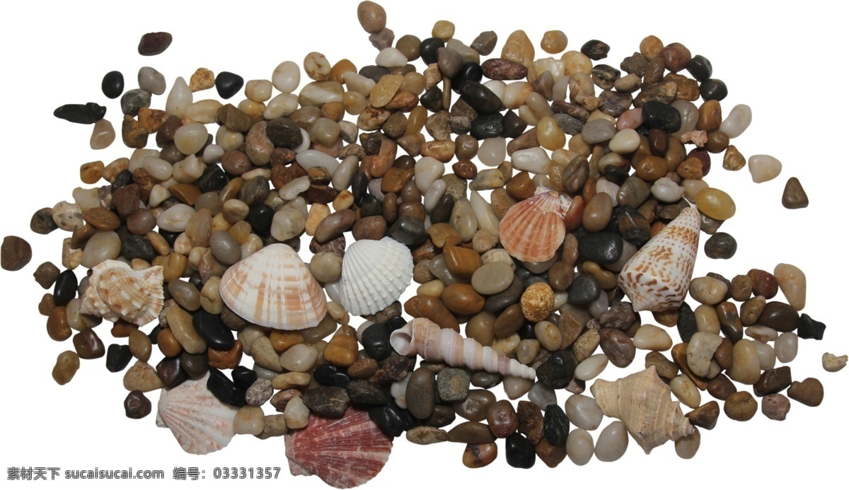 各种 颜色 鹅 暖 石 源文件 白色 黑色 贝壳 扇贝 红色 海螺 装饰图案
