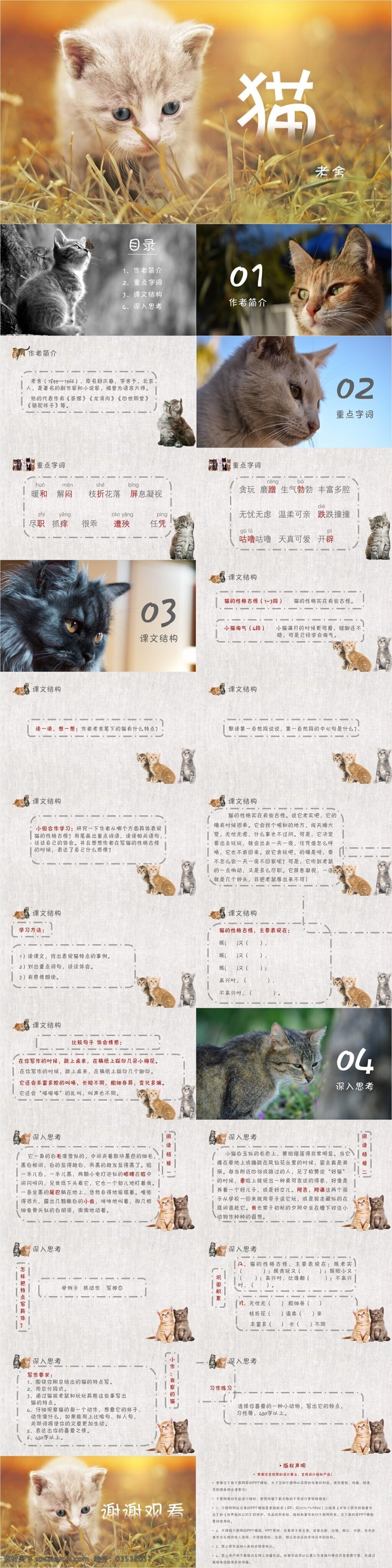 清新 风 猫 内容 语文教学 课件 ppt课件 简约 老舍 清新风