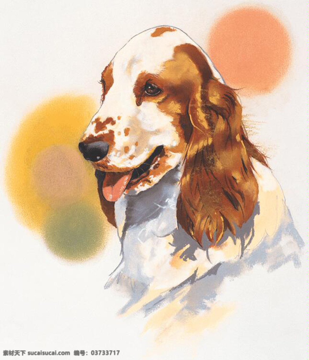 狗 家禽家畜 动物插图11 设计素材 动物插图 书画美术 白色
