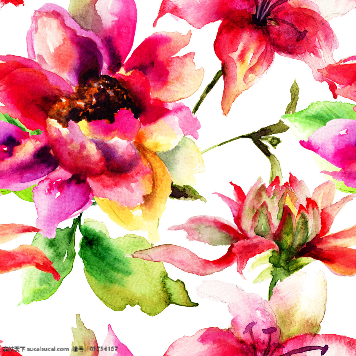 水彩 粉色 花朵 水彩花朵 水粉花朵 水彩设计元素 花卉 漂亮花朵 鲜花 花草树木 生物世界