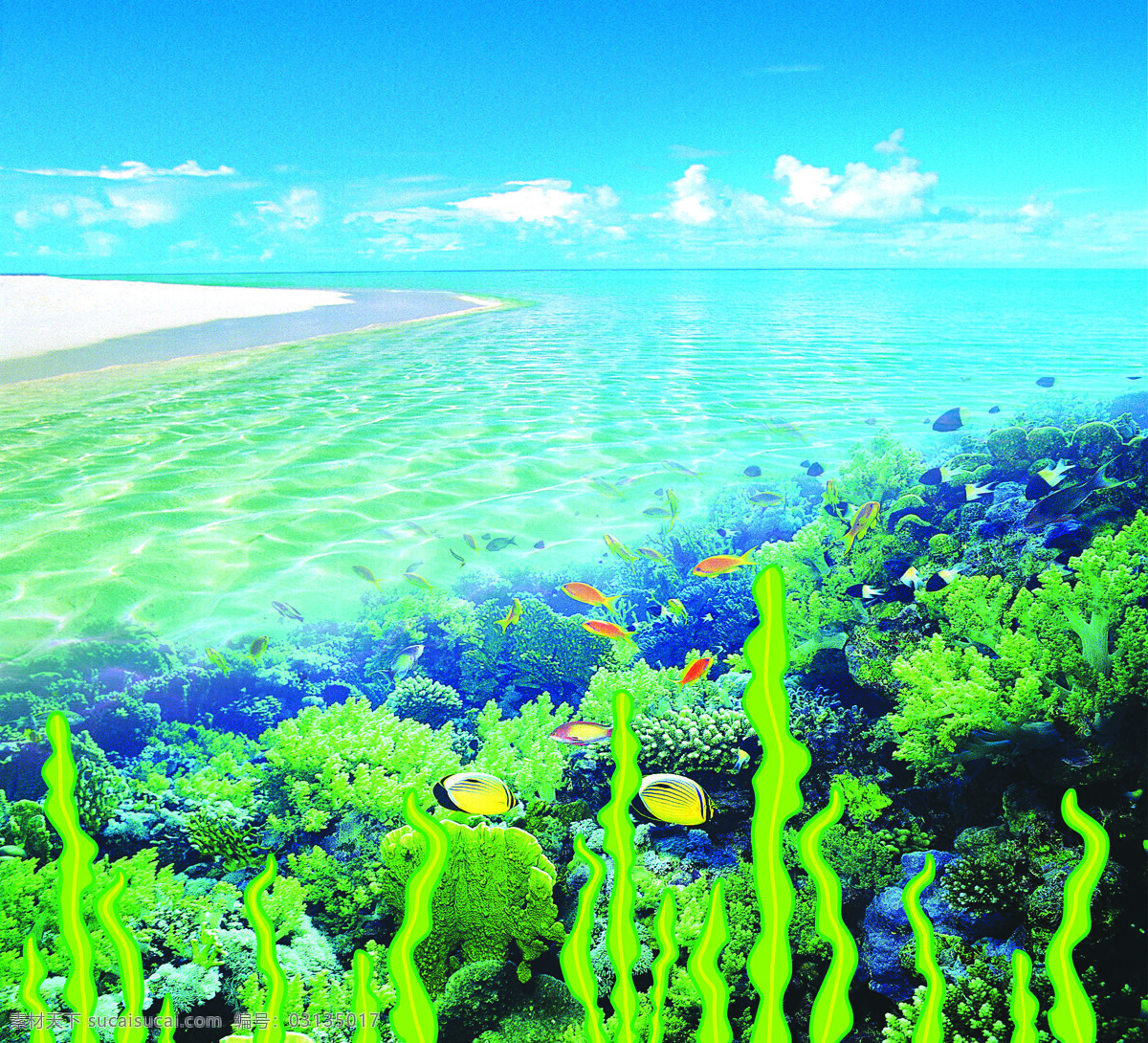 海洋 蓝天 天空 沙滩 海波 海底 珊瑚 游鱼 海带 高清 自然景观 自然风光 设计图库