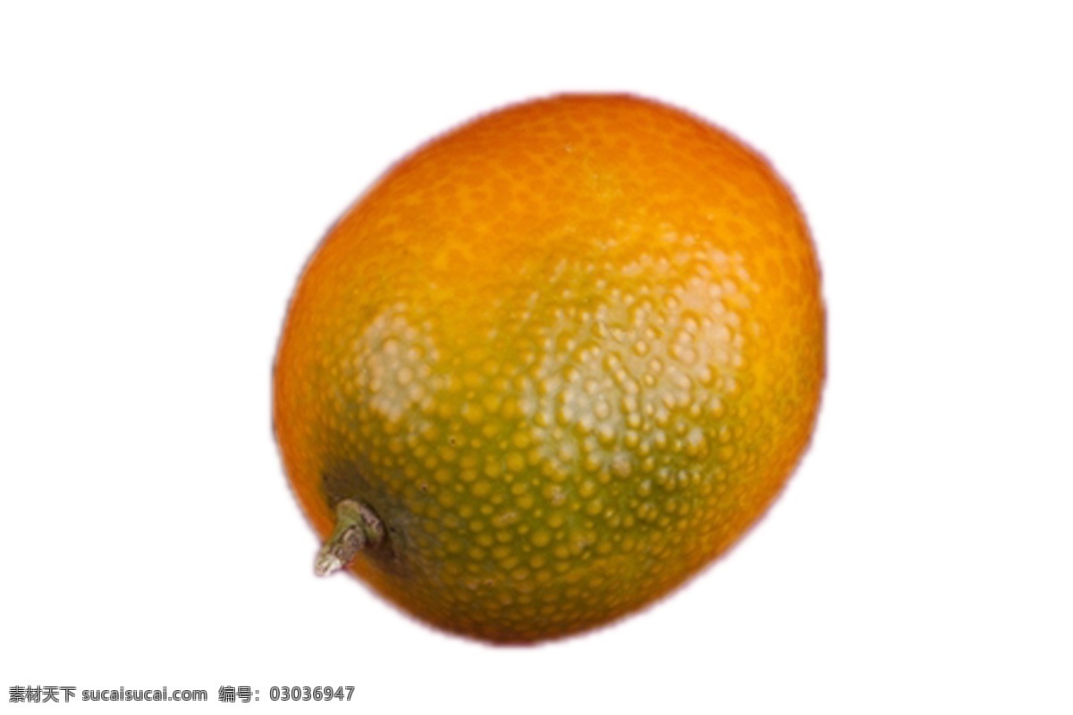 一个 汁 皮 薄 大 橘子 皮薄 新鲜 甘甜 好吃 绿色 安全 野生 橘子树 成长 植物 美丽 水分足