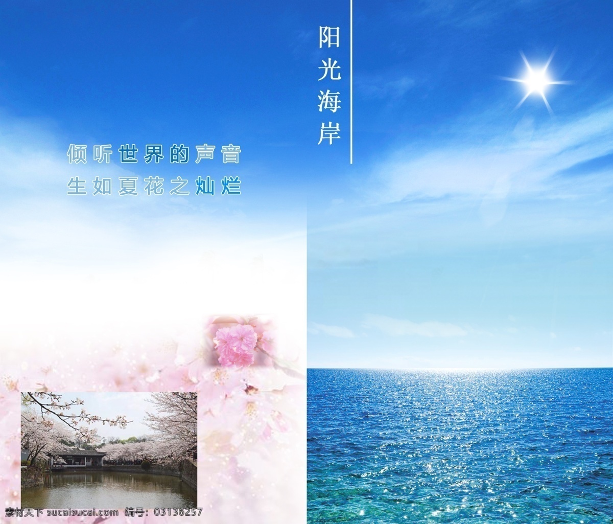 阳光 海岸 企业 画册 蓝天 樱花 清新 大海 封面 画册设计