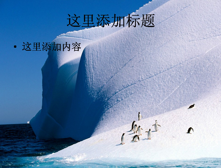 南极 风光 风景 企鹅 宽 屏 景色 自然风景 模板