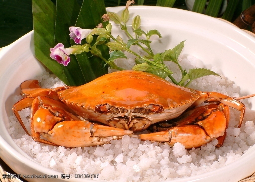 澳门油焗蟹 澳门 油焗 蟹 传统美食 餐饮美食