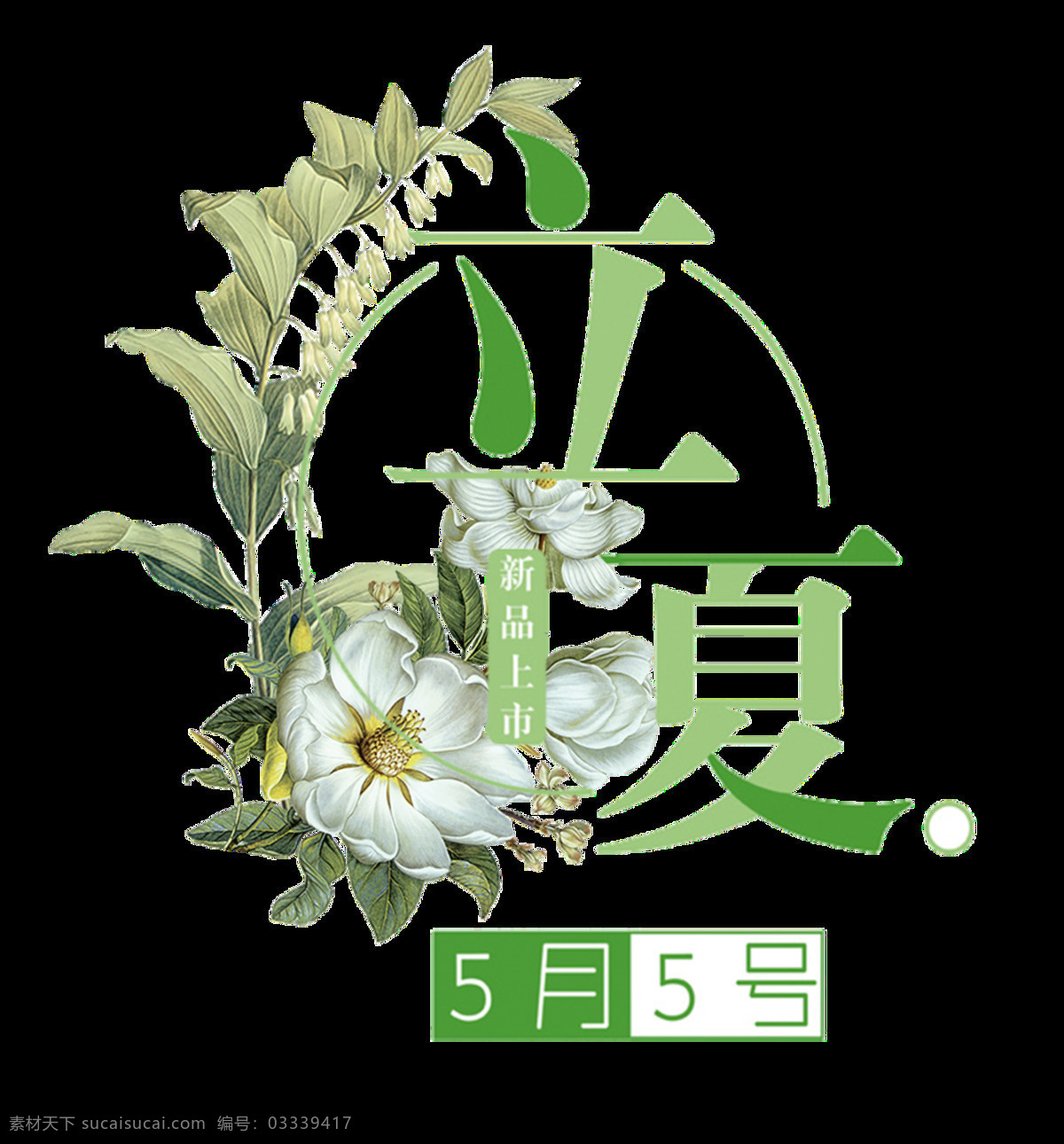素雅 花朵 立夏 节气 元素 植物 绿色字体 二十四节气 盛开 节气元素 立夏节气 绿色数字