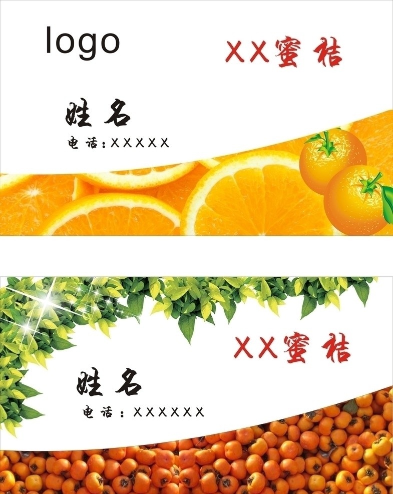 蜜桔 名片 橘 名片卡片 矢量