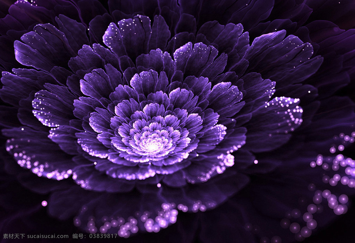 紫色花朵艺术 创意 分形 艺术 抽象 紫色 花朵 光照 底纹边框 抽象底纹