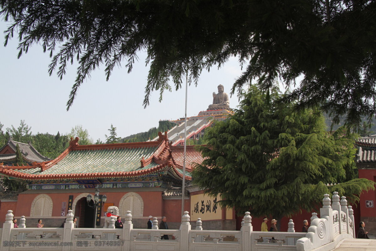 南山 禅寺殿 广场 松柏 玉彻 旅游摄影 自然风景