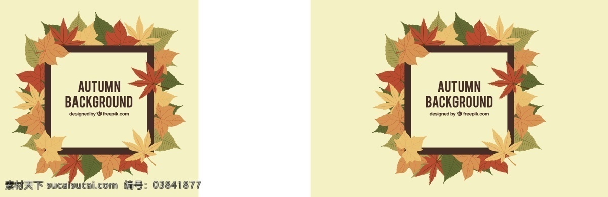 叶片背景 背景 性质 叶 秋天 叶子 自然 自然背景 秋天的落叶 季节 十一月 九月 十月 干桩