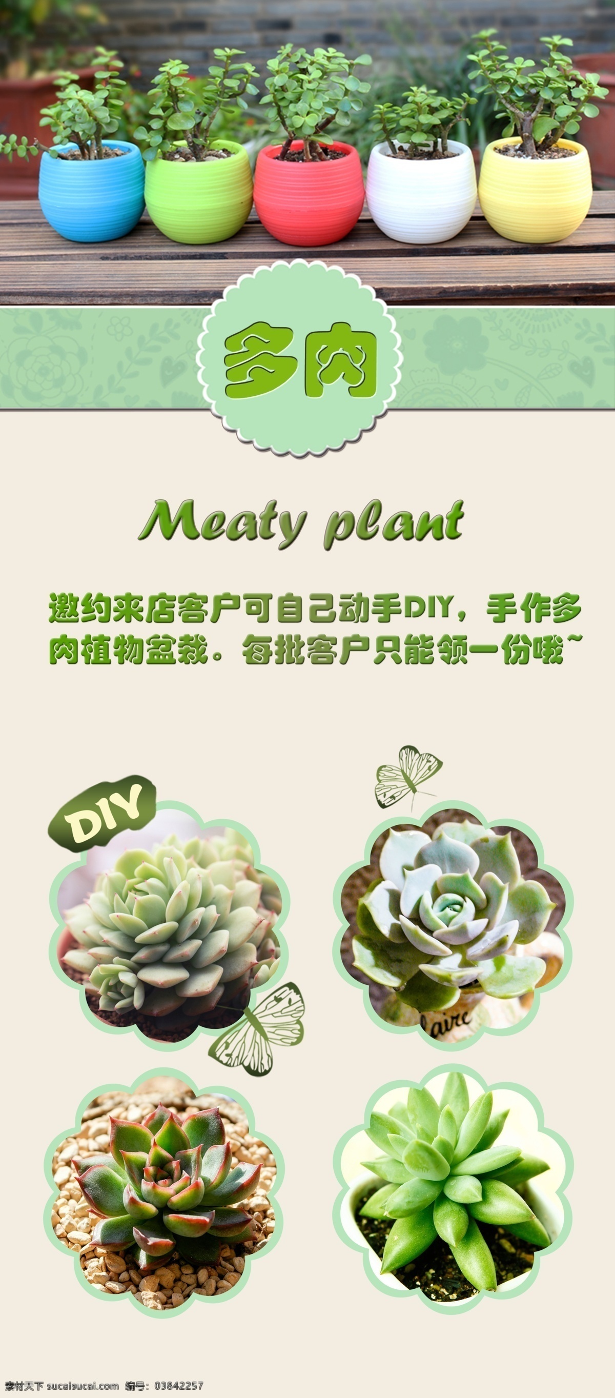 肉 diy 展架 海报 植物 拥抱清新绿色 尽享新鲜呼吸 盆栽 多肉植物 白色