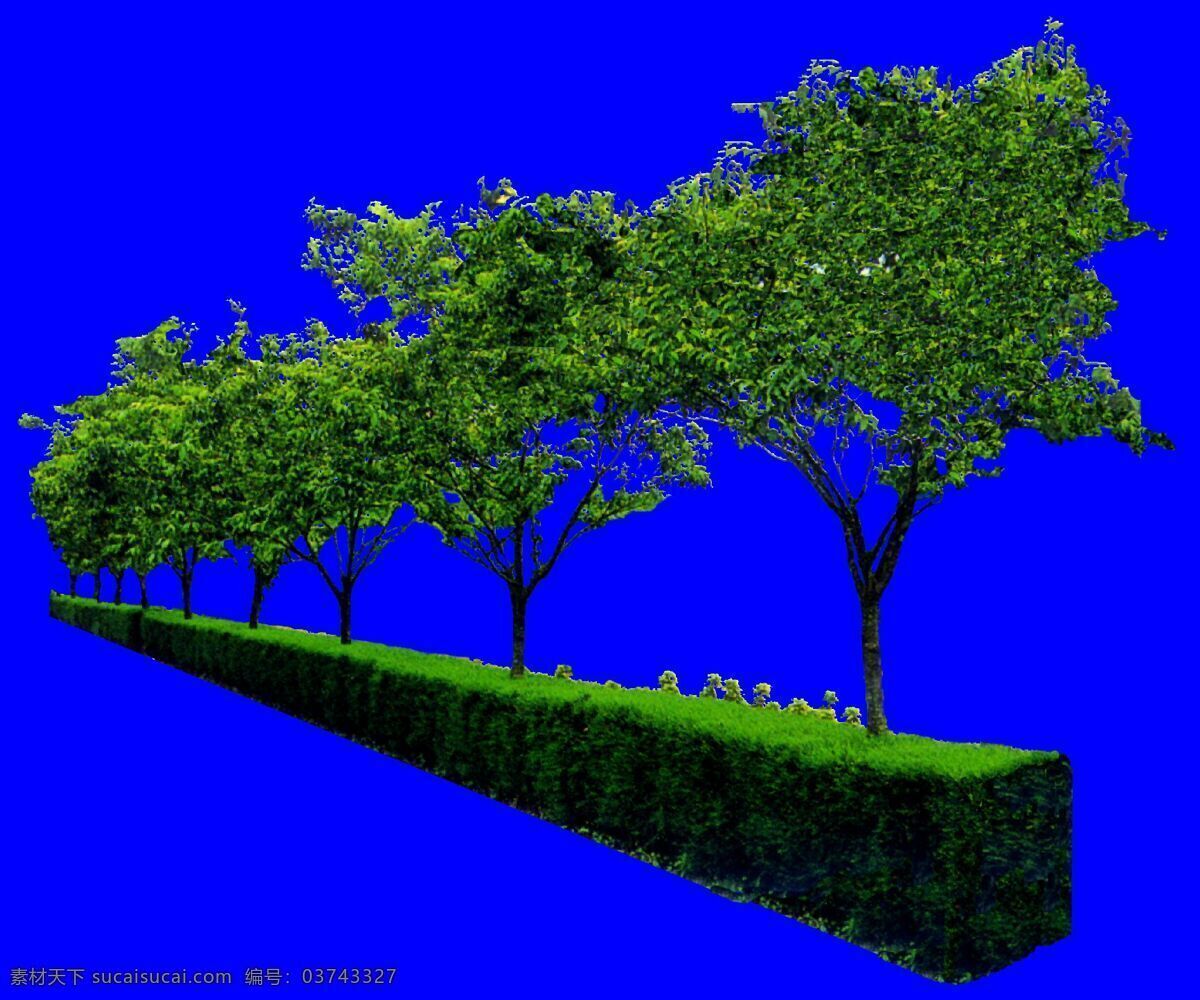 树丛 31 植物 园林植物 多棵 树群 配景素材 园林 建筑装饰 设计素材 3d模型素材 室内场景模型