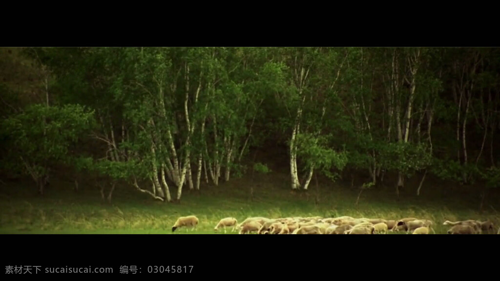 蒙古 草原 风光 视频