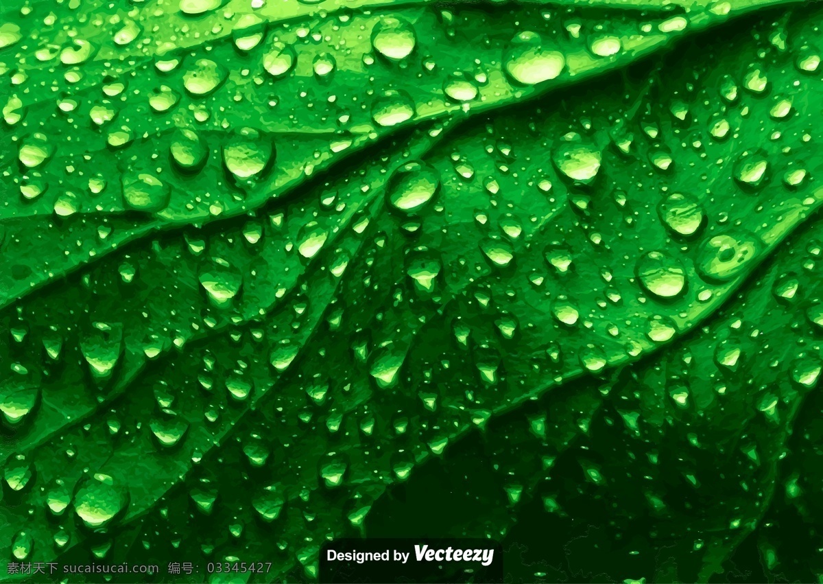 带 水滴 真实 绿 树叶 纹理 矢量图 光 液体 生活 叶 成长 静脉 自然 反思 闪亮的雨滴 光合作用 有机 绿色 树 表面干净 特写 泡沫 湿 水 植物 hajiu hijau 背景