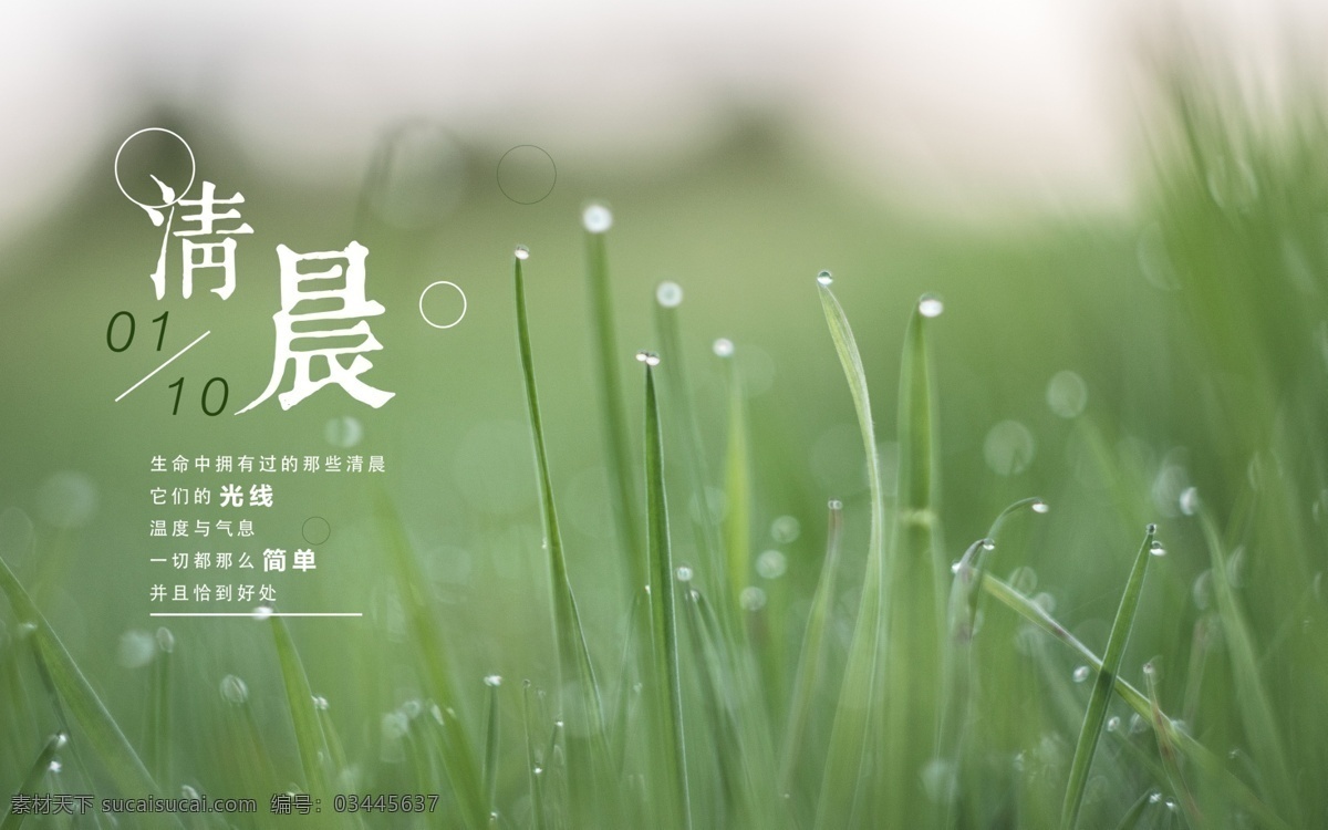 绿色 草 清晨 唯美 微 信 配 图 小清新 创意海报 简约 微信配图 微博配图 走心 文艺 商业海报 早安 十月你好 文案 美图 优美图片 横版海报 绿草
