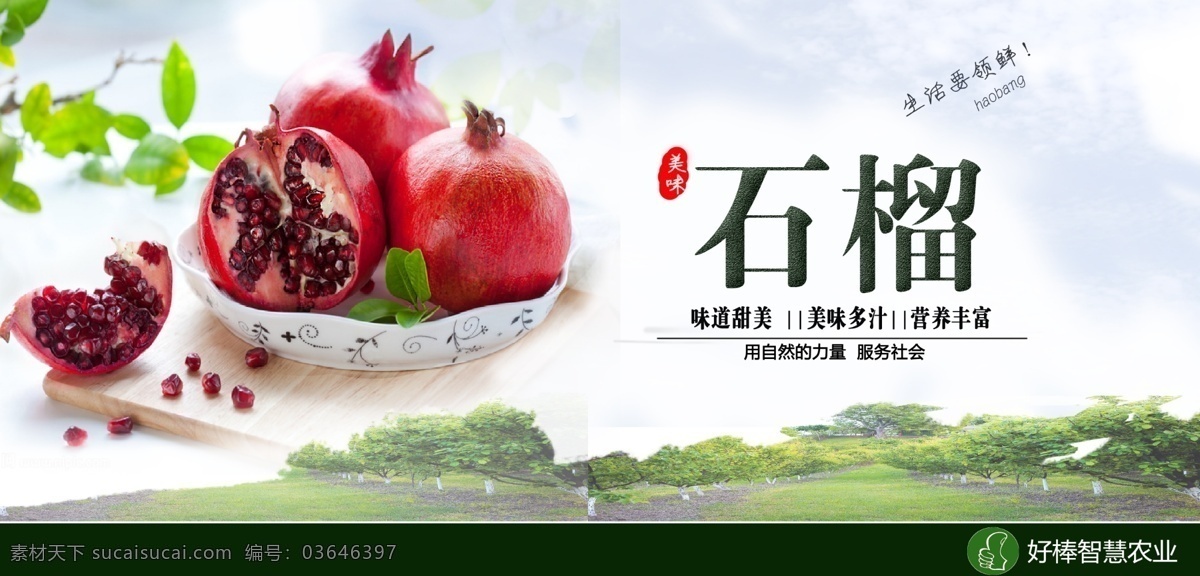 石榴农业券 石榴 优惠券 提货卡 礼品卡