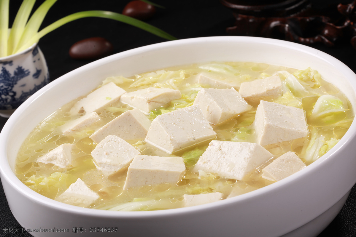 白菜 炖 豆腐 白菜炖豆腐 老豆腐炖白菜 豆腐煮白菜 白菜豆腐汤 豆腐白菜 餐饮美食 传统美食