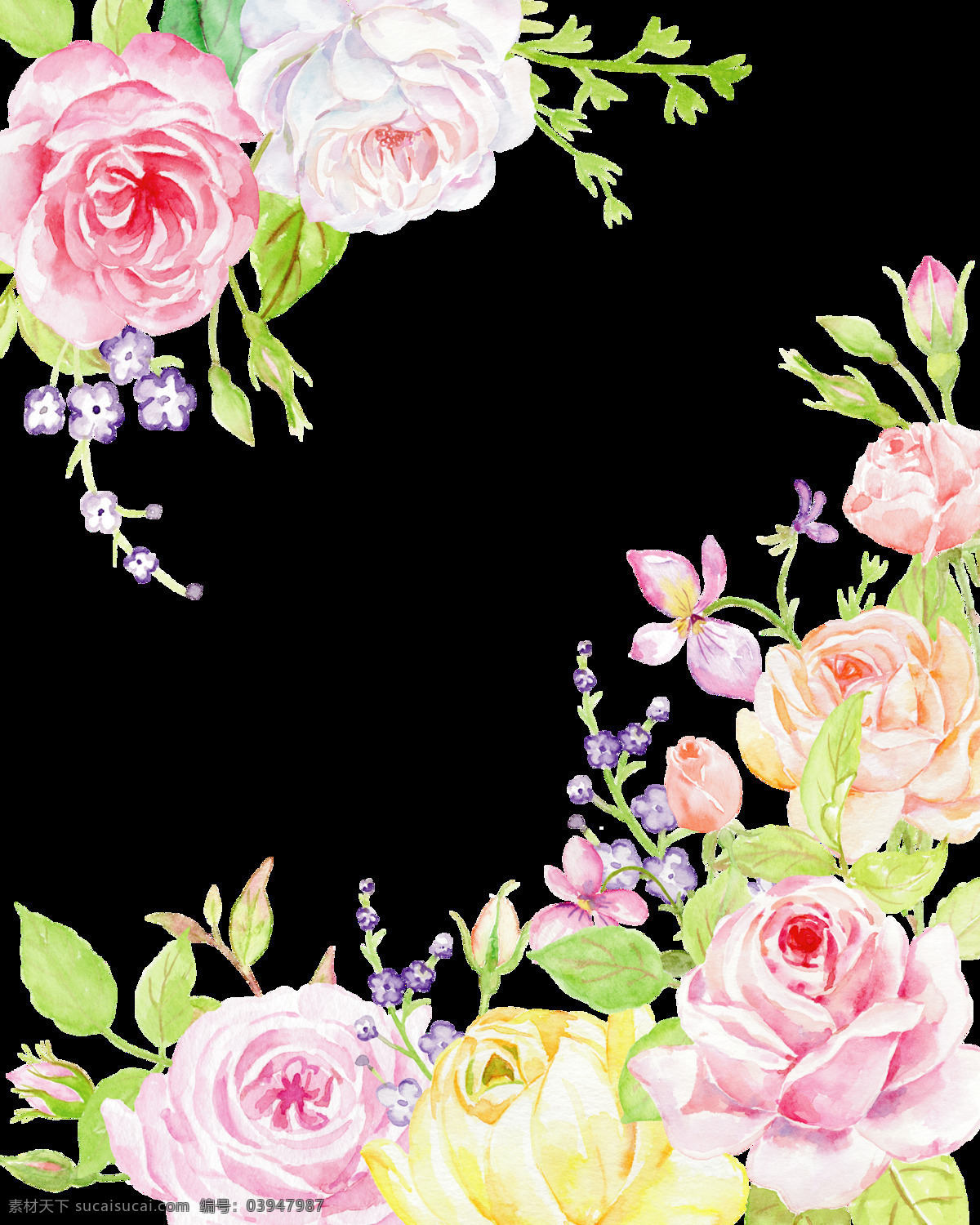手绘 婚礼 卡片 装饰 花朵 透明 玫瑰花 粉红色 浪漫 白色 真爱 透明素材 免扣素材 装饰图片