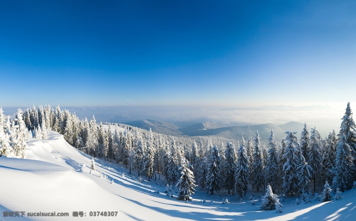 林海雪原 冰天雪地 冰雪世界 雪地 雪国 雾凇 白色 旷野 野外 自然 美丽 雪花 一望无际 壮观 天地一线 震撼 美丽自然 自然风景 自然景观