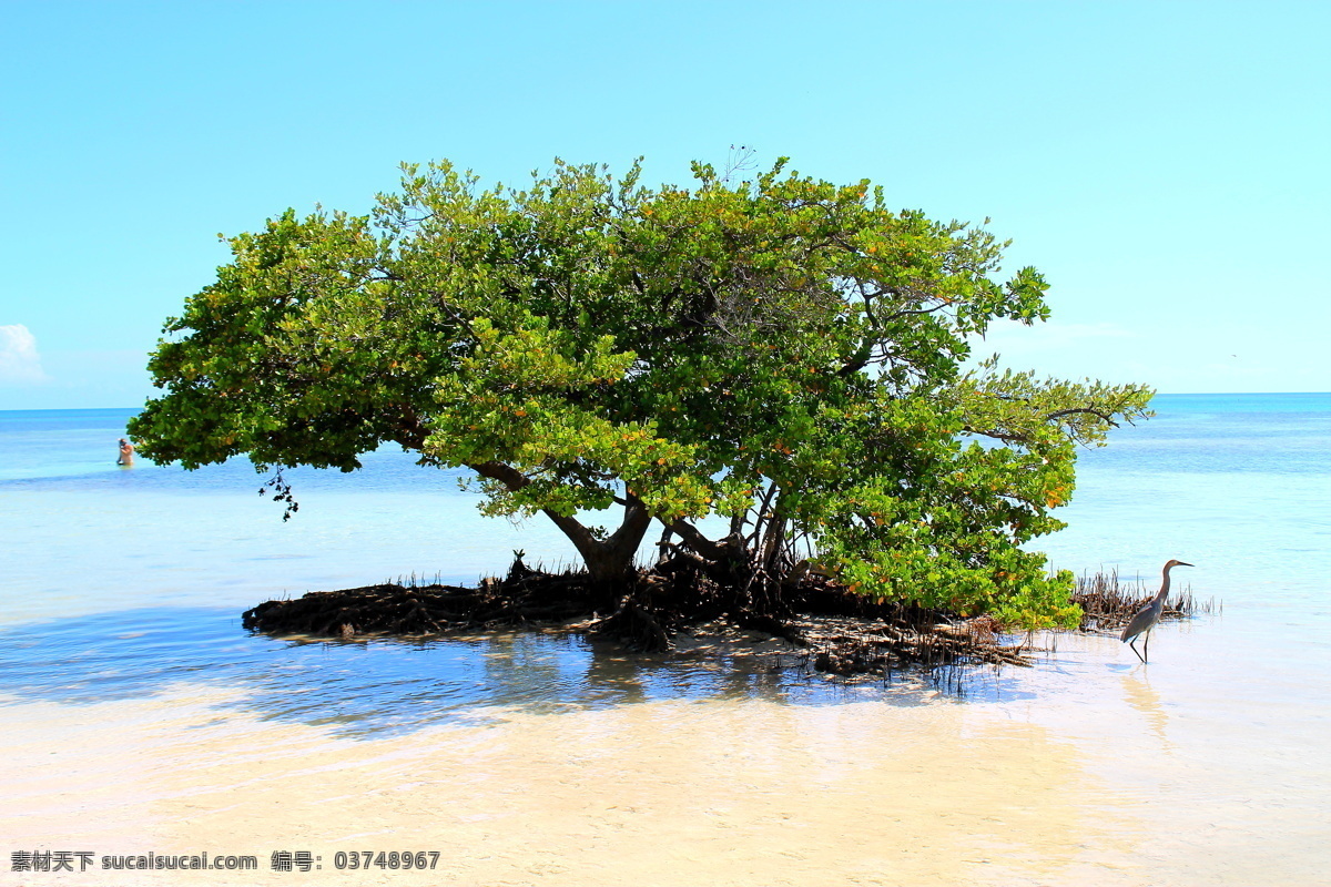 湖景 江景 树林 天空 湖水 自然景观 自然风景