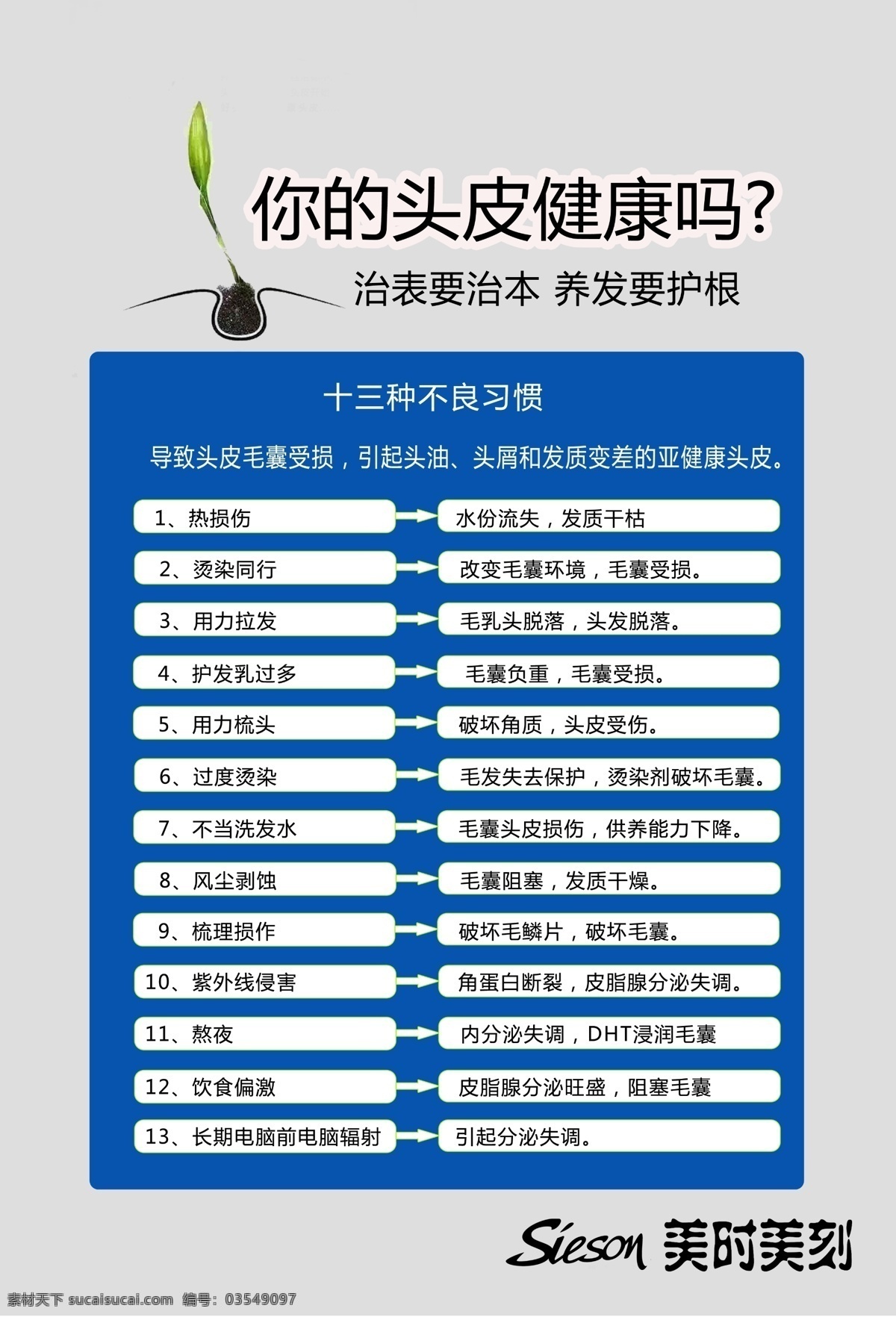 头皮健康海报 头皮 健康 不良习惯 亚健康 美发店 海报 镜贴 头皮护理 头发护理 头皮保养 烫染 毛囊 洗发水 紫外线 熬夜 毛鳞片 头皮损伤 皮脂腺 养发 护发 分层