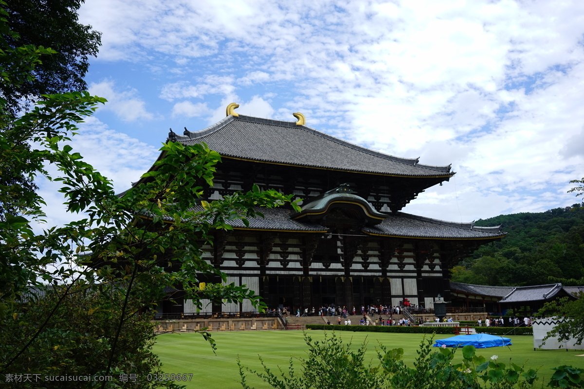 日本寺庙 寺庙 日本 神社 建筑 古建筑 庙宇 日本之旅 旅游摄影 国外旅游