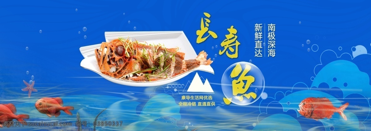 长寿鱼海报 长寿鱼 海报 鱼 淘宝 banner 淘宝界面设计 广告 蓝色