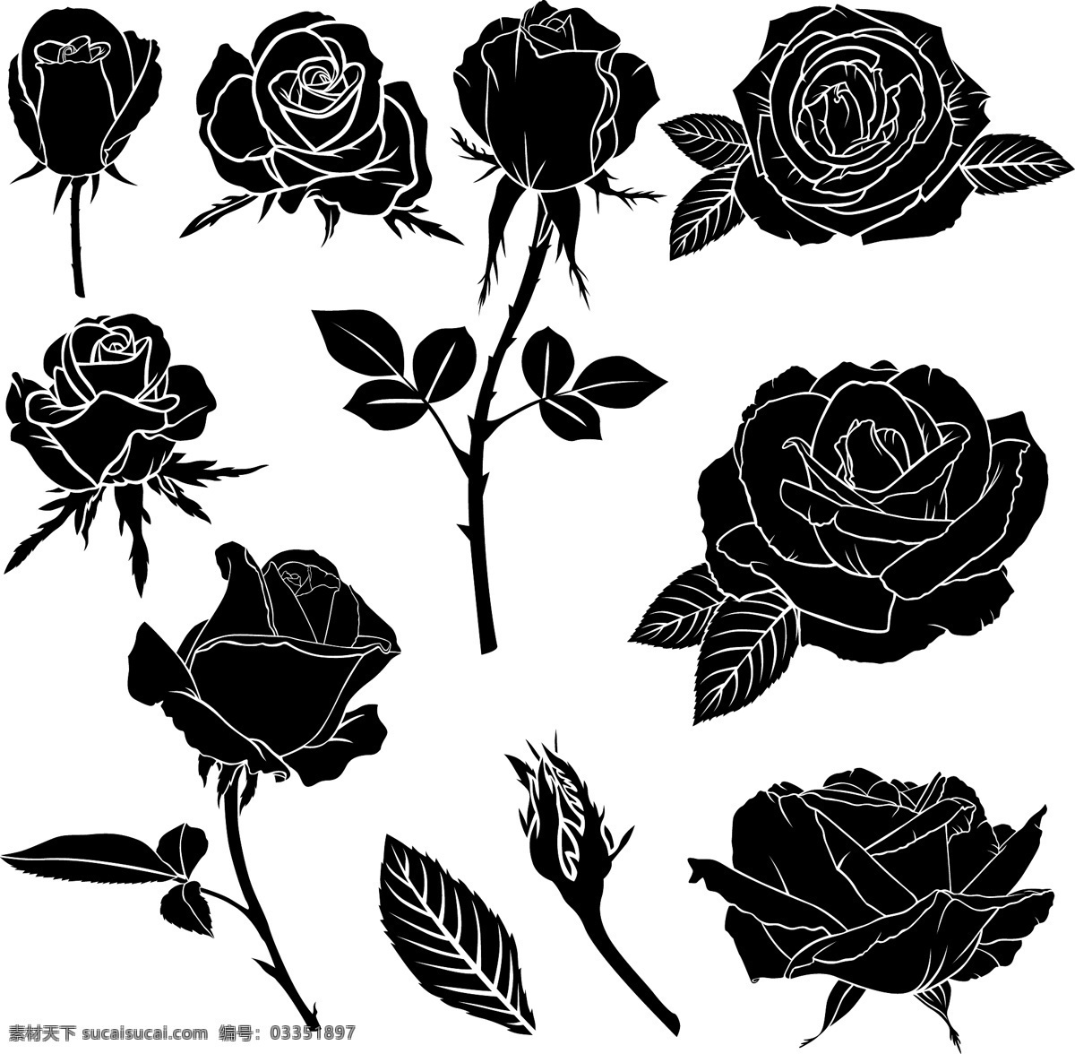 黑白 时尚 剪影 玫瑰花 植物 插画 花苞 花朵 叶子